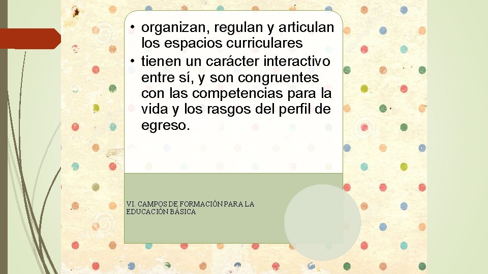  • organizan, regulan y articulan los espacios curriculares • tienen un carácter interactivo