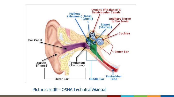 Picture credit – OSHA Technical Manual 