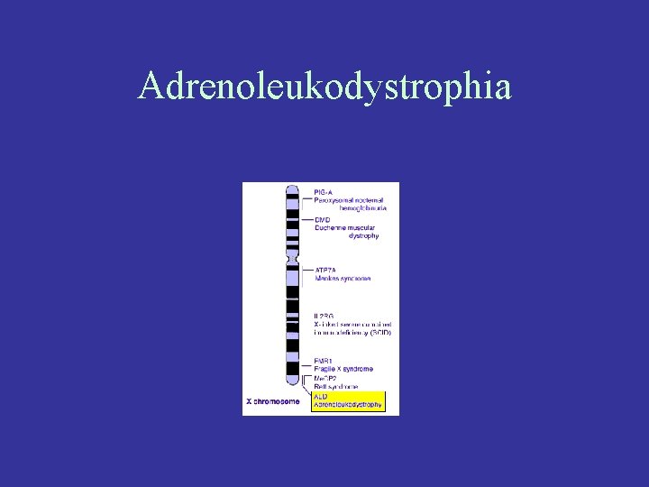 Adrenoleukodystrophia 