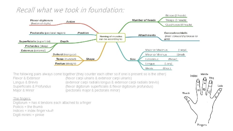 Recall what we took in foundation: The following pairs always come together (they counter