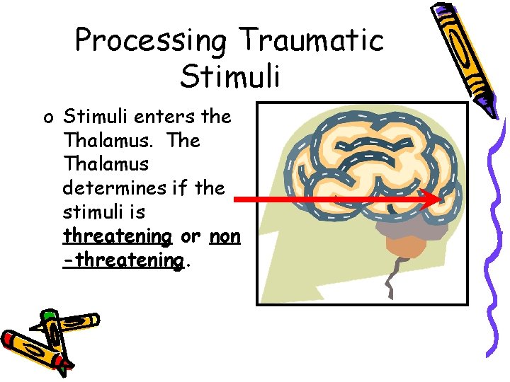 Processing Traumatic Stimuli o Stimuli enters the Thalamus. The Thalamus determines if the stimuli