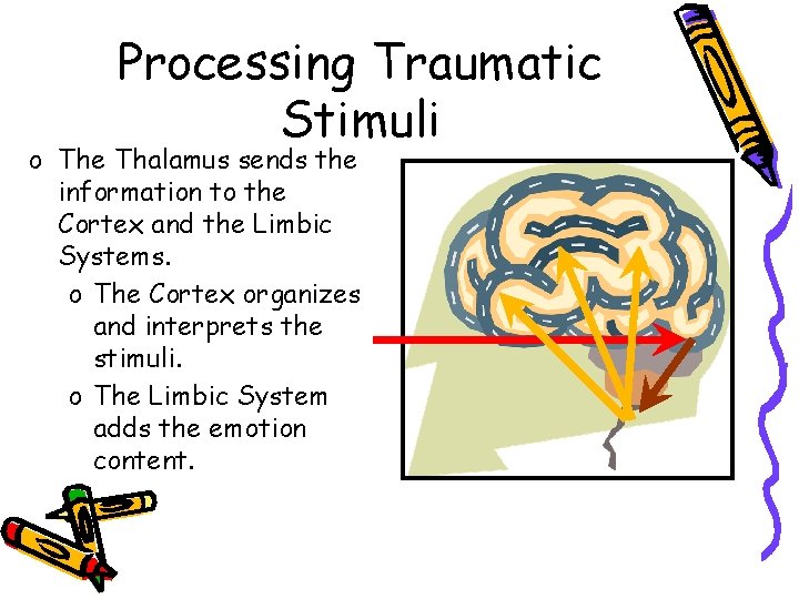 Processing Traumatic Stimuli o The Thalamus sends the information to the Cortex and the