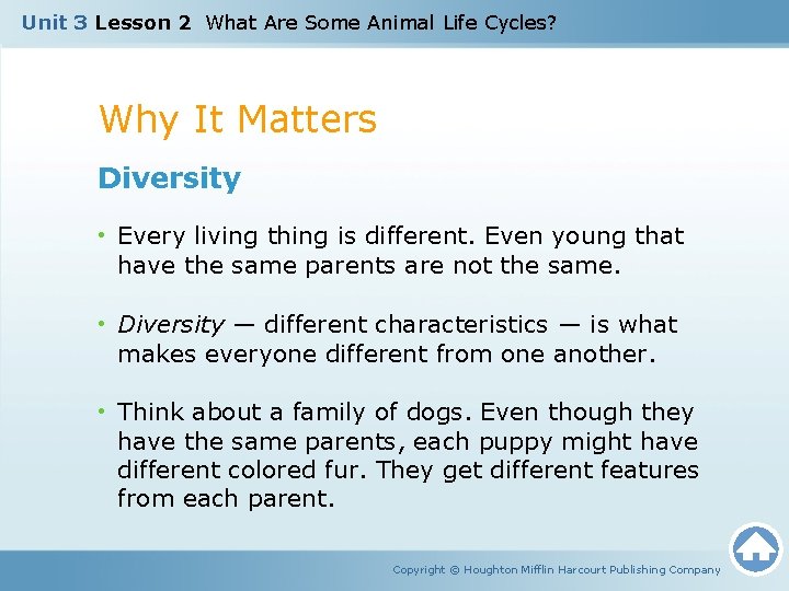 Unit 3 Lesson 2 What Are Some Animal Life Cycles? Why It Matters Diversity