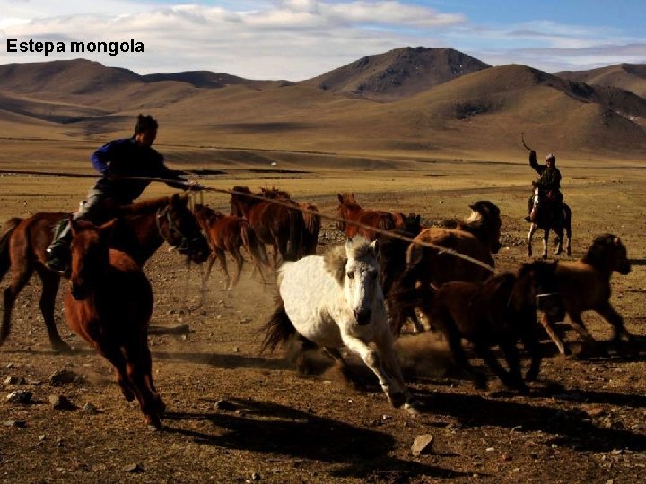 Estepa mongola 