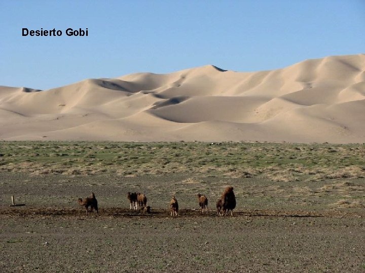 Desierto Gobi 