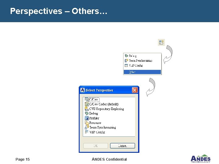 Perspectives – Others… Page 15 ANDES Confidential 