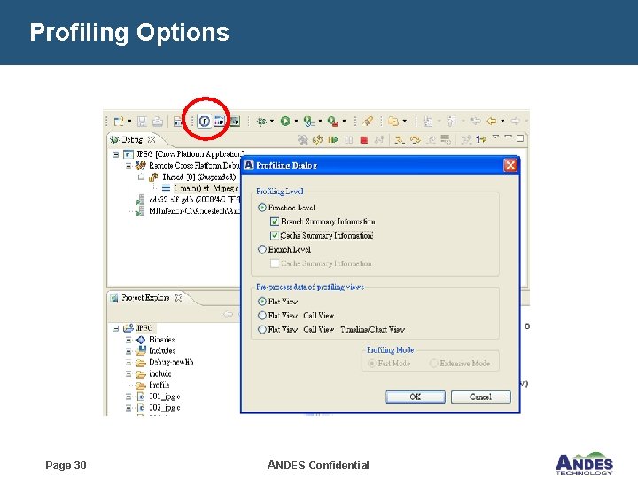 Profiling Options Page 30 ANDES Confidential 