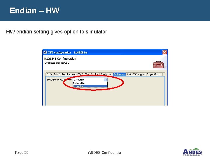Endian – HW HW endian setting gives option to simulator Page 39 ANDES Confidential