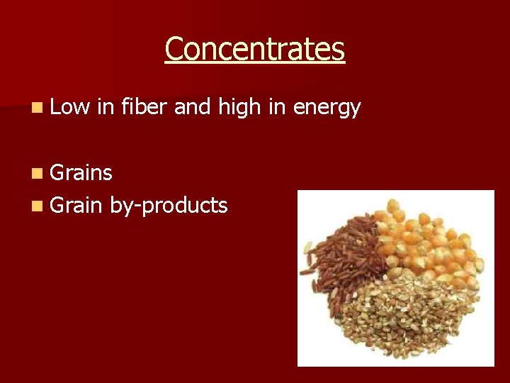 Concentrates n Low in fiber and high in energy n Grains n Grain by-products