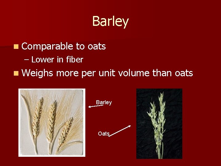 Barley n Comparable to oats – Lower in fiber n Weighs more per unit