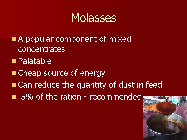 Molasses n. A popular component of mixed concentrates n Palatable n Cheap source of