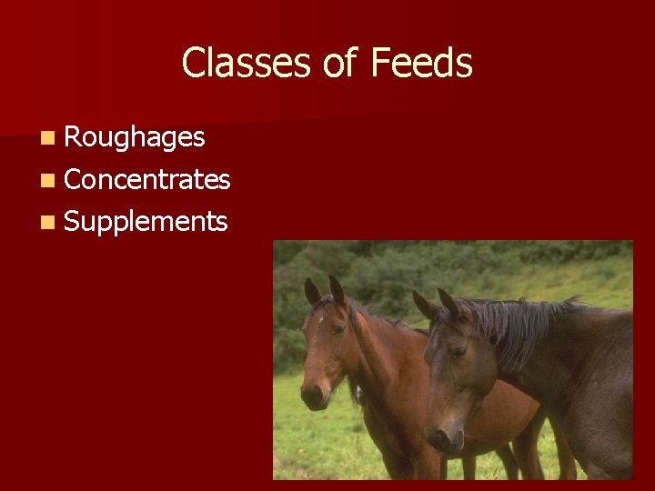 Classes of Feeds n Roughages n Concentrates n Supplements 