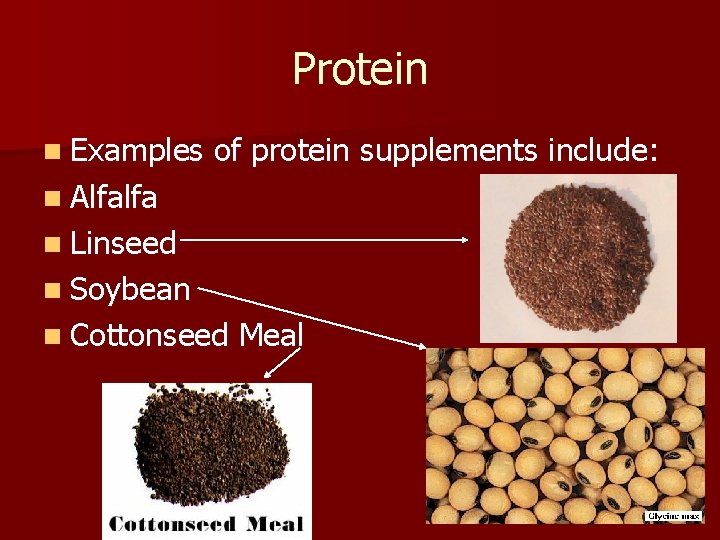 Protein n Examples of protein supplements include: n Alfalfa n Linseed n Soybean n