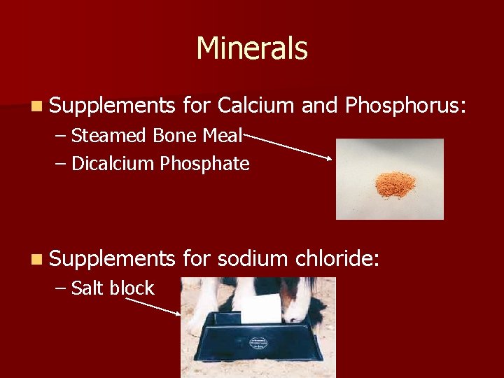 Minerals n Supplements for Calcium and Phosphorus: – Steamed Bone Meal – Dicalcium Phosphate