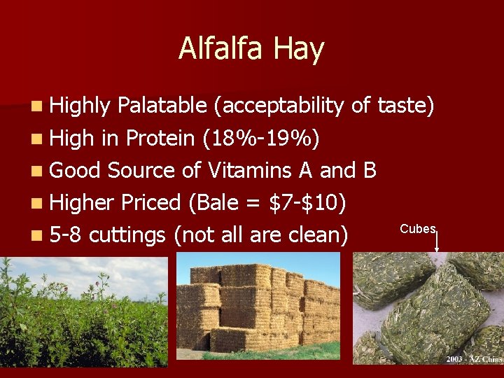 Alfalfa Hay n Highly Palatable (acceptability of taste) n High in Protein (18%-19%) n