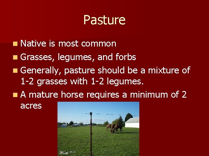 Pasture n Native is most common n Grasses, legumes, and forbs n Generally, pasture