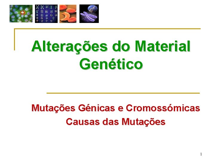 Alterações do Material Genético Mutações Génicas e Cromossómicas Causas das Mutações 1 