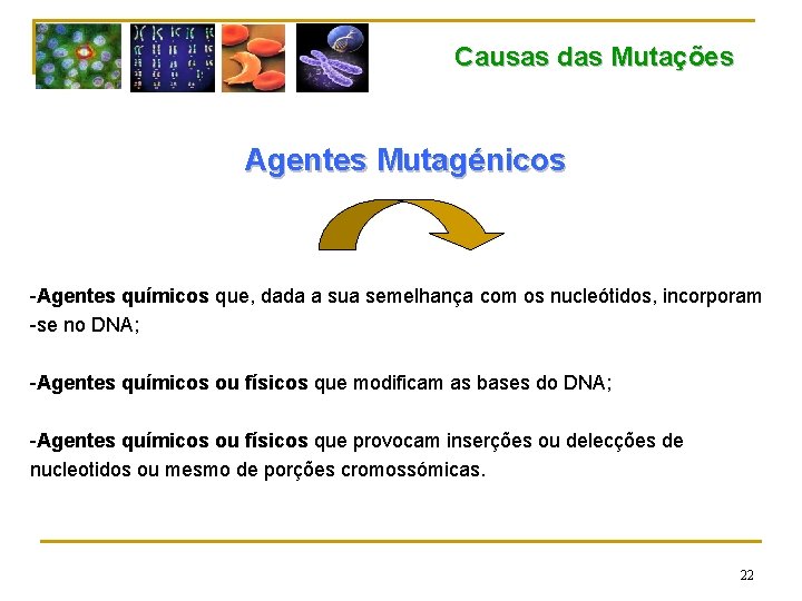 Causas das Mutações Agentes Mutagénicos -Agentes químicos que, dada a sua semelhança com os