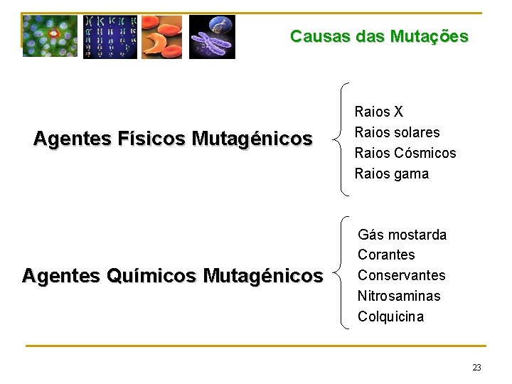 Causas das Mutações Agentes Físicos Mutagénicos Raios X Raios solares Raios Cósmicos Raios gama