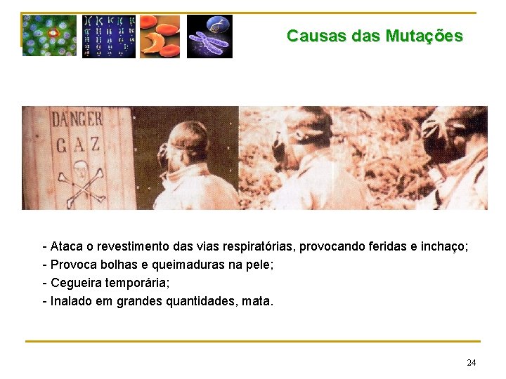 Causas das Mutações - Ataca o revestimento das vias respiratórias, provocando feridas e inchaço;