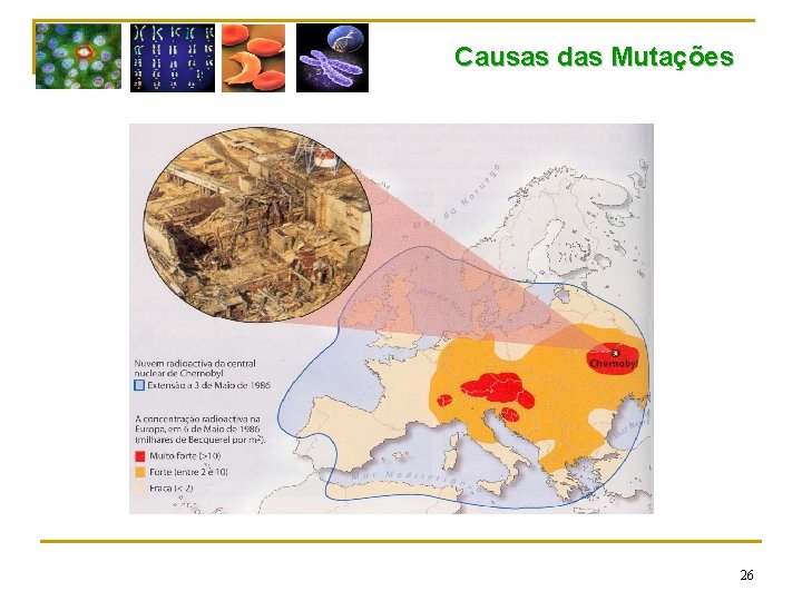 Causas das Mutações 26 