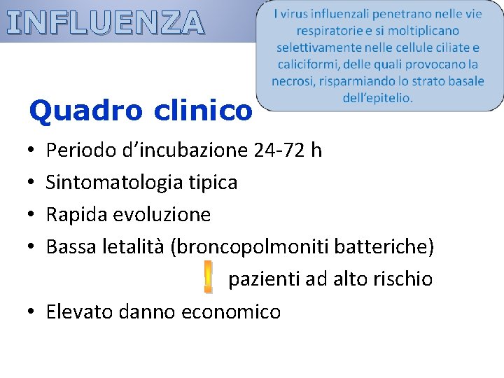 INFLUENZA Quadro clinico Periodo d’incubazione 24 -72 h Sintomatologia tipica Rapida evoluzione Bassa letalità INFLUENZA Quadro clinico Periodo d’incubazione 24 -72 h Sintomatologia tipica Rapida evoluzione Bassa letalità