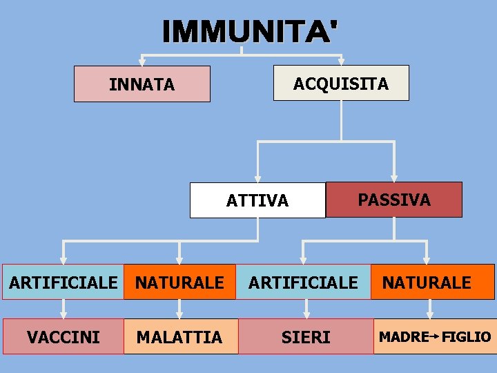 ACQUISITA INNATA ATTIVA PASSIVA ARTIFICIALE NATURALE ARTIFICIALE VACCINI MALATTIA SIERI NATURALE MADRE FIGLIO ACQUISITA INNATA ATTIVA PASSIVA ARTIFICIALE NATURALE ARTIFICIALE VACCINI MALATTIA SIERI NATURALE MADRE FIGLIO