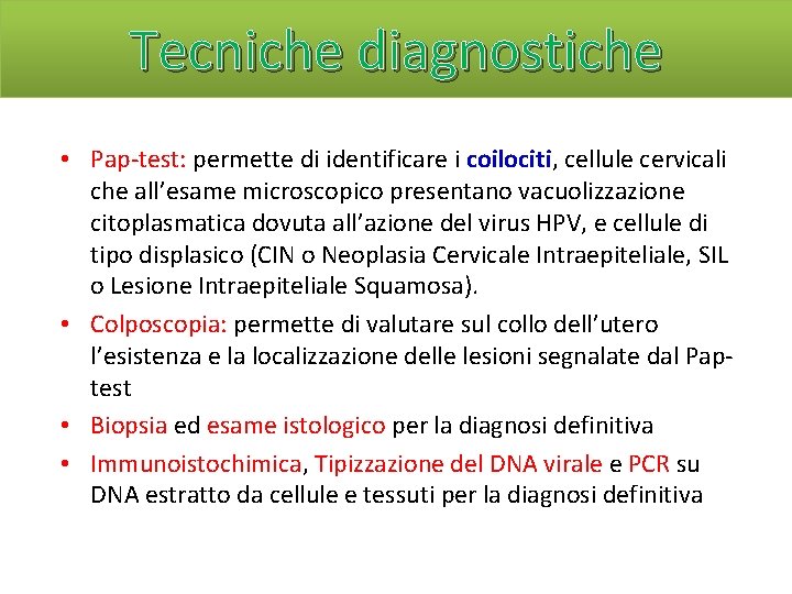 Tecniche diagnostiche • Pap-test: permette di identificare i coilociti, cellule cervicali che all’esame microscopico