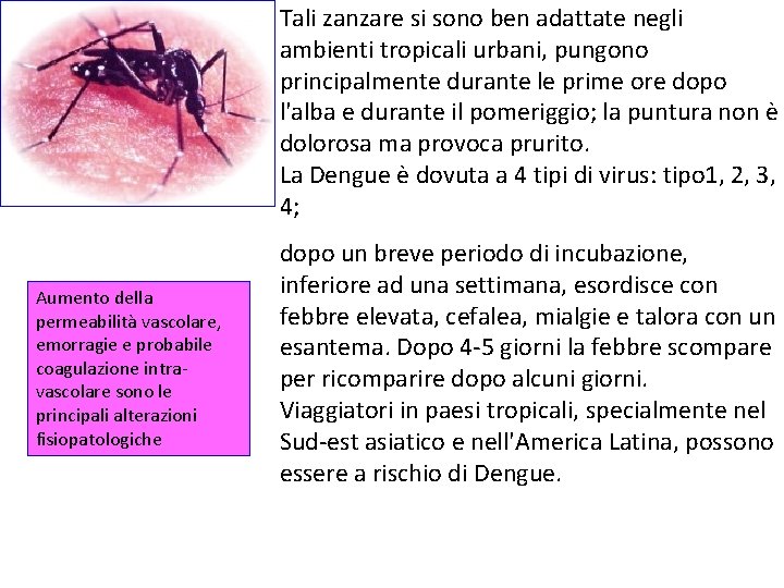 Tali zanzare si sono ben adattate negli ambienti tropicali urbani, pungono principalmente durante le