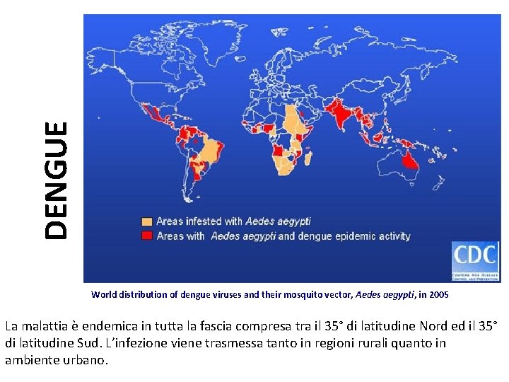 DENGUE World distribution of dengue viruses and their mosquito vector, Aedes aegypti, in 2005