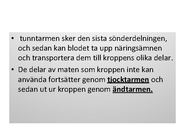  •  tunntarmen sker den sista sönderdelningen, och sedan kan blodet ta upp näringsämnen