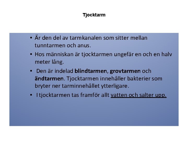 Tjocktarm • Är den del av tarmkanalen som sitter mellan tunntarmen och anus. •