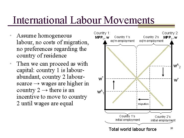 International Labour Movements • Assume homogeneous labour, no costs of migration, no preferences regarding