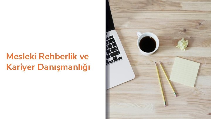 Mesleki Rehberlik ve Kariyer Danışmanlığı 