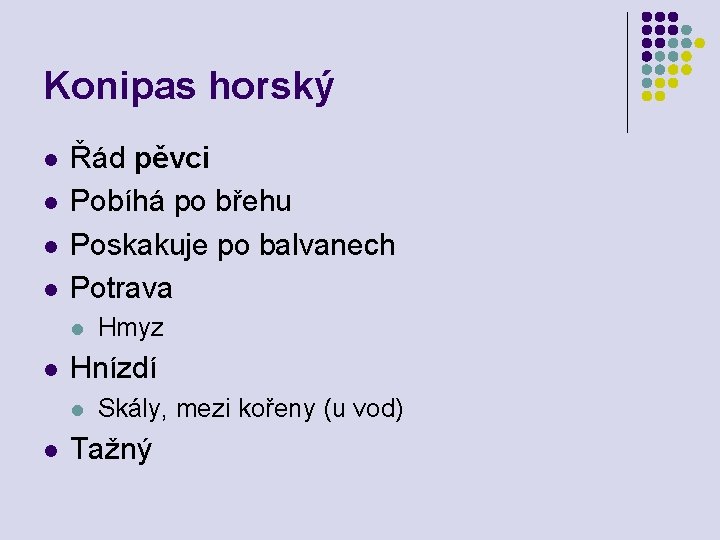 Konipas horský l l Řád pěvci Pobíhá po břehu Poskakuje po balvanech Potrava l