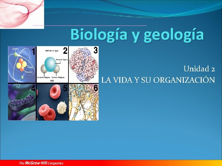 Biología y geología Unidad 2 LA VIDA Y SU ORGANIZACIÓN 