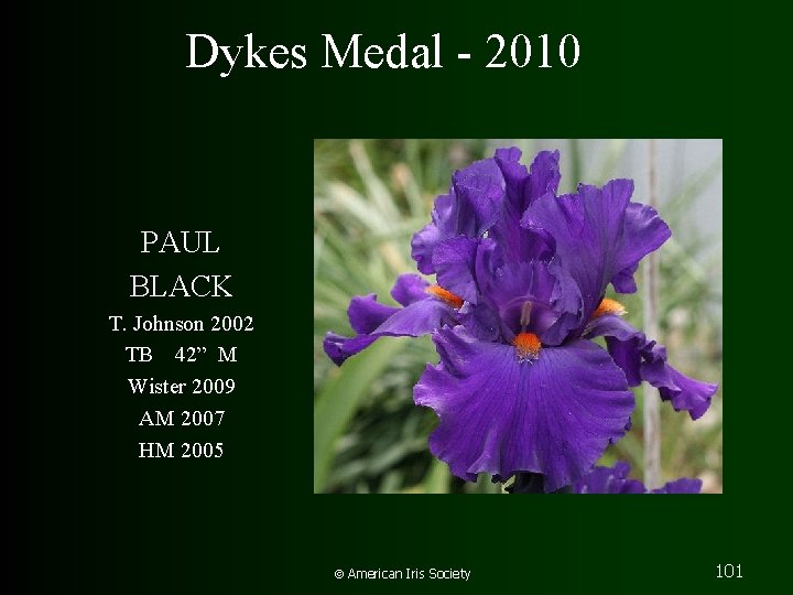 Dykes Medal - 2010 PAUL BLACK T. Johnson 2002 TB 42” M Wister 2009