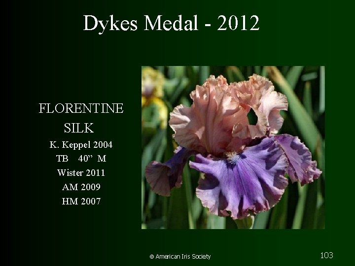 Dykes Medal - 2012 FLORENTINE SILK K. Keppel 2004 TB 40” M Wister 2011
