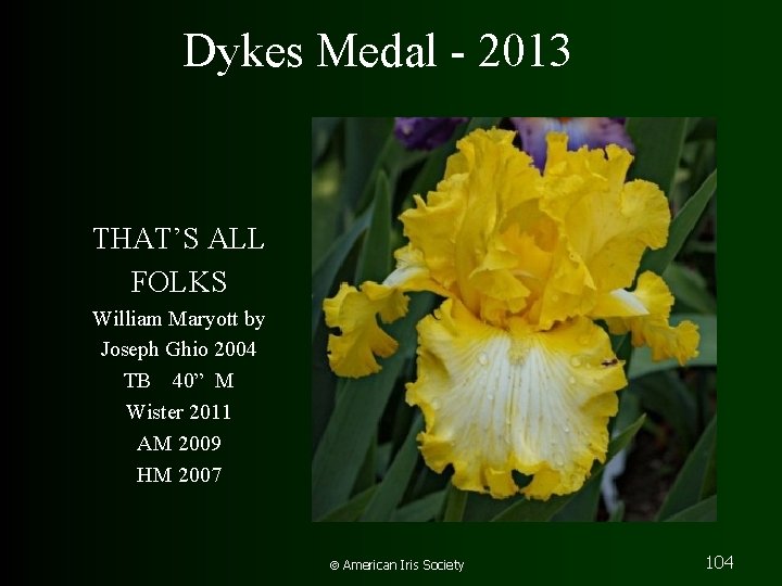 Dykes Medal - 2013 THAT’S ALL FOLKS William Maryott by Joseph Ghio 2004 TB