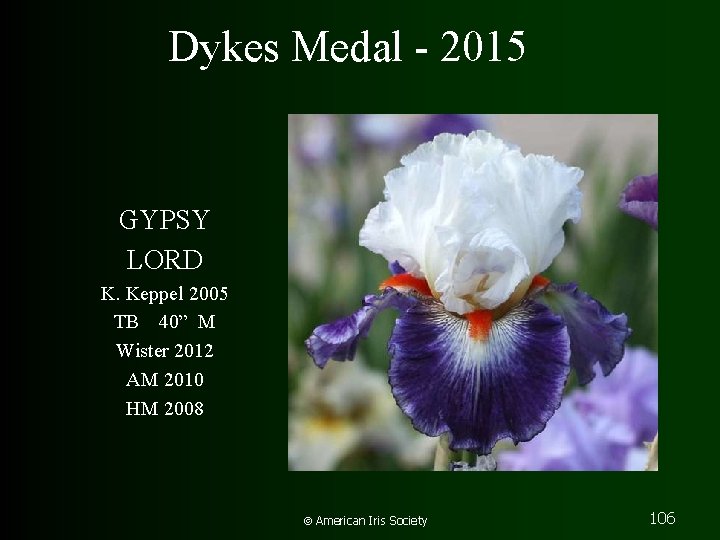 Dykes Medal - 2015 GYPSY LORD K. Keppel 2005 TB 40” M Wister 2012