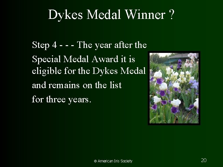 Dykes Medal Winner ? Step 4 - - - The year after the Special