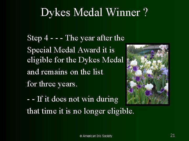 Dykes Medal Winner ? Step 4 - - - The year after the Special