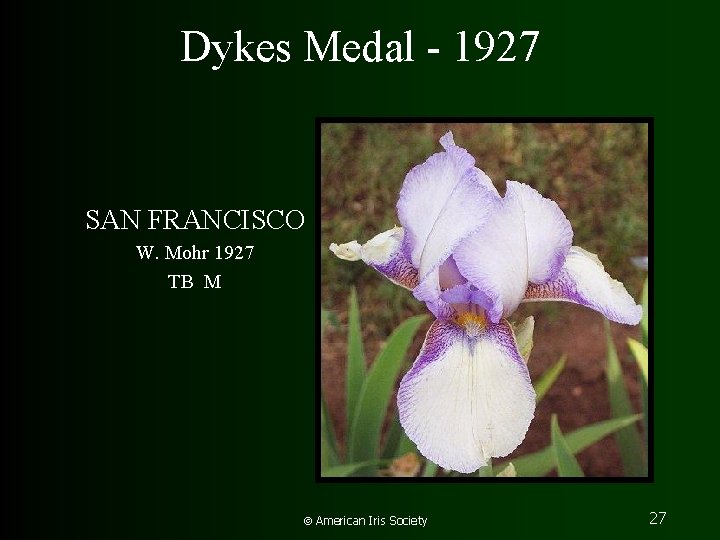 Dykes Medal - 1927 SAN FRANCISCO W. Mohr 1927 TB M American Iris Society