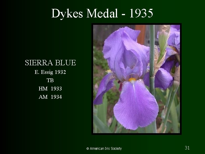 Dykes Medal - 1935 SIERRA BLUE E. Essig 1932 TB HM 1933 AM 1934