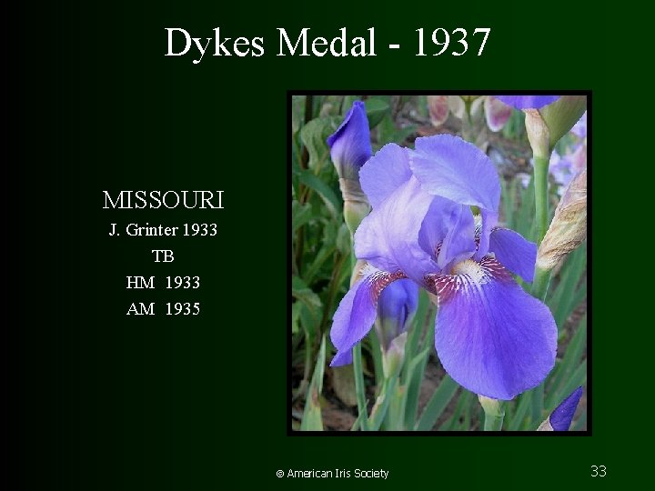 Dykes Medal - 1937 MISSOURI J. Grinter 1933 TB HM 1933 AM 1935 American