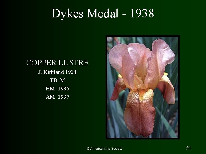 Dykes Medal - 1938 COPPER LUSTRE J. Kirkland 1934 TB M HM 1935 AM