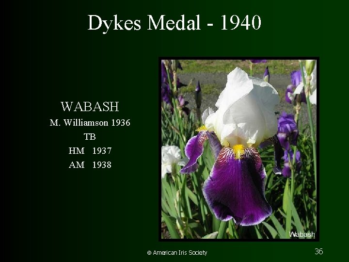 Dykes Medal - 1940 WABASH M. Williamson 1936 TB HM 1937 AM 1938 American