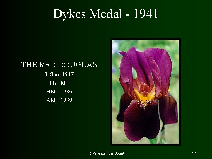 Dykes Medal - 1941 THE RED DOUGLAS J. Sass 1937 TB ML HM 1936