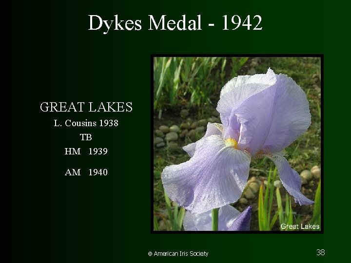Dykes Medal - 1942 GREAT LAKES L. Cousins 1938 TB HM 1939 AM 1940
