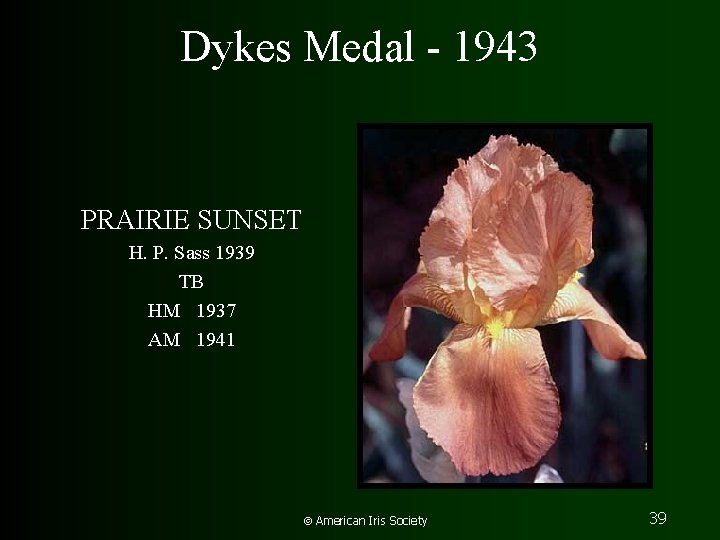 Dykes Medal - 1943 PRAIRIE SUNSET H. P. Sass 1939 TB HM 1937 AM